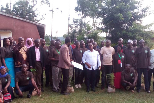 Sugarcane Farmers Illustration