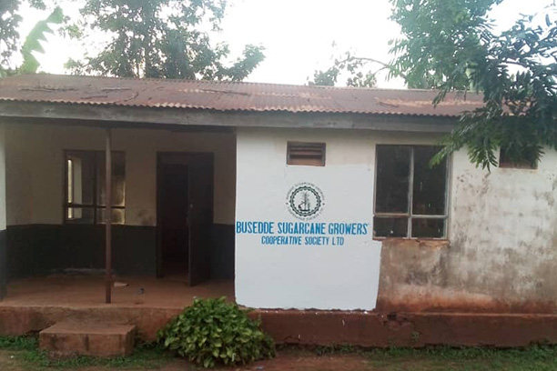 Busedde Cooperative Early Days